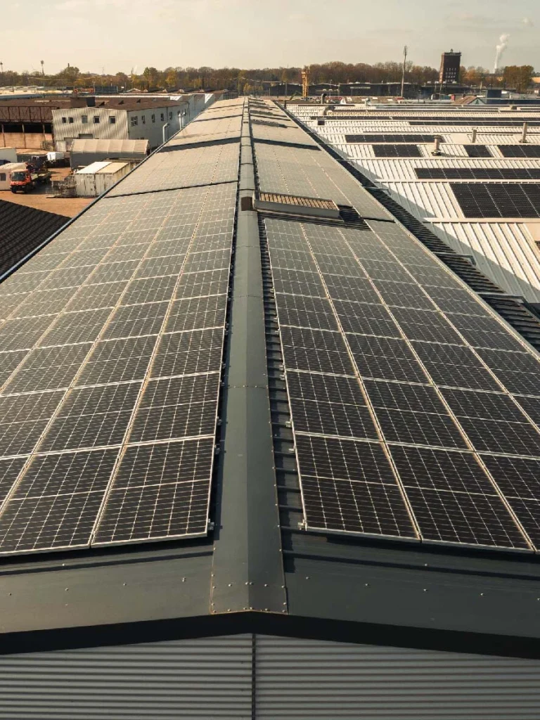 Solarmodule bedecken ein großes Fabrikdach, umgeben von Industriegebäuden und Bäumen im Hintergrund.