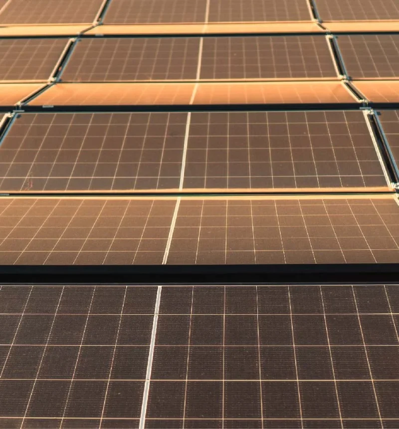 Solarmodule reflektieren Sonnenlicht, auf einem Dach montiert, in Reihen angeordnet.