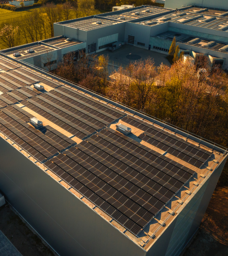 Solarmodule bedecken Flachdach eines großen Industriegebäudes, umgeben von Bäumen und Feldern.